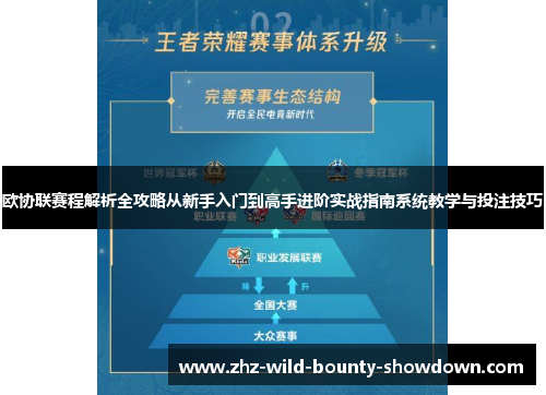 欧协联赛程解析全攻略从新手入门到高手进阶实战指南系统教学与投注技巧