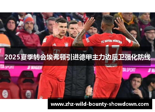 2025夏季转会埃弗顿引进德甲主力边后卫强化防线